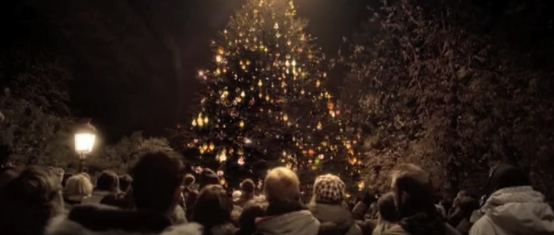 City of Madrid_Magic Tree