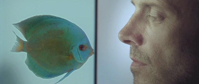 Mercedes Benz_Short term